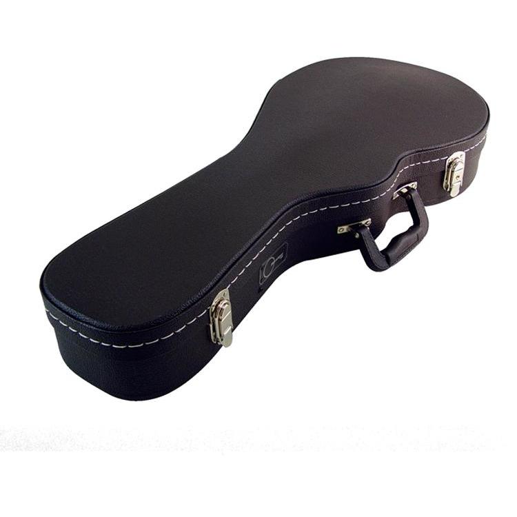 PRG Artist Series F-Style Mandolin Case - AP Intl
